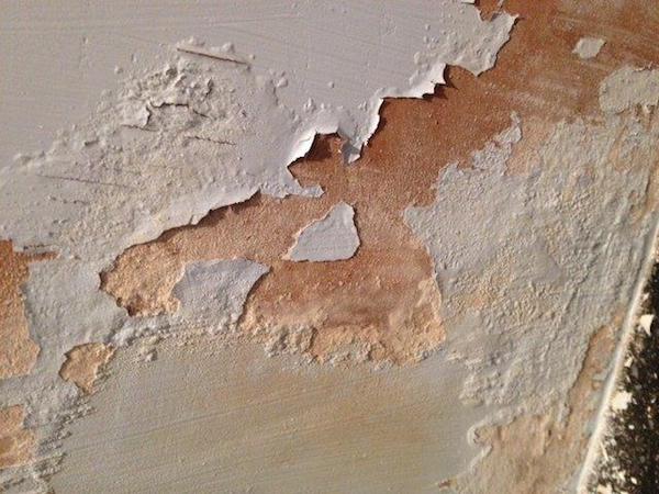 Rising Damp Damage Assessment
