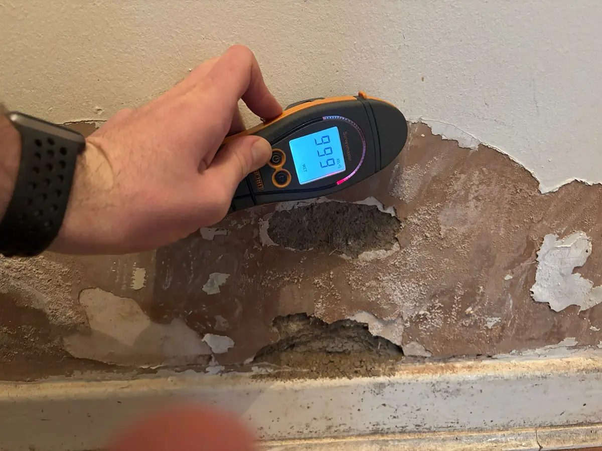 Professional Damp Survey