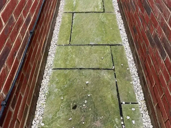 Path Cleaning — Algae Removal